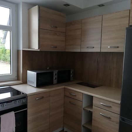 Pokoje U Iwonki - Barzowice Βίλα Εξωτερικό φωτογραφία